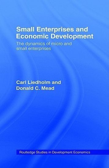 Small Enterprises and Economic Development