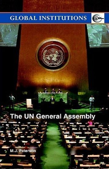 The UN General Assembly