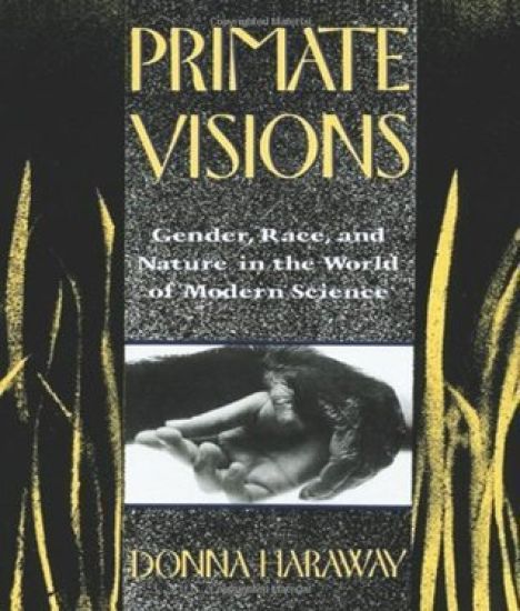 Primate Visions