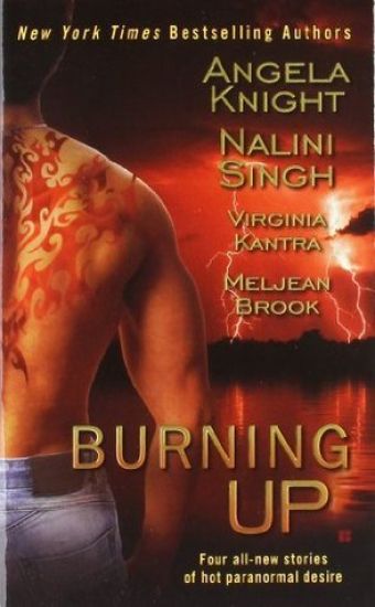 Burning Up