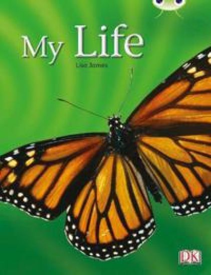Bug Club Non-fiction Yellow C/1C My Life 6-pack