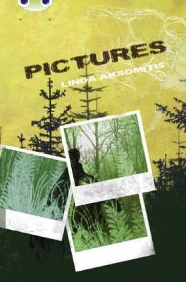 Bug Club Independent Fiction Year 5 Blue B Pictures