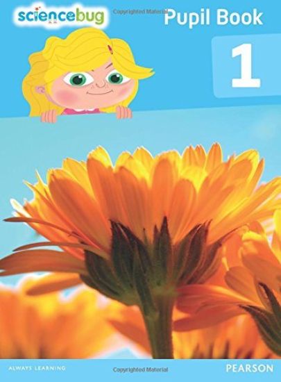 Science Bug Pupil Book Year 1
