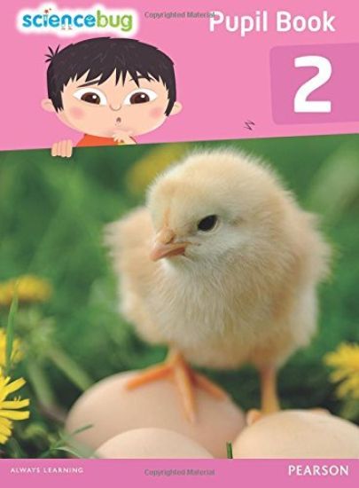 Science Bug Pupil Book Year 2