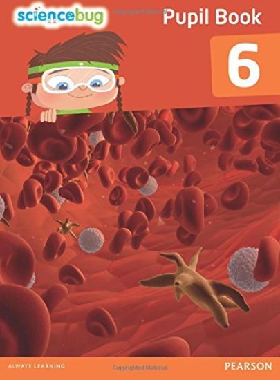 Science Bug Pupil Book Year 6