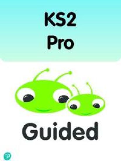 Bug Club Comprehension Y6 Tsunami 12-pack