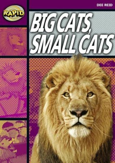 Rapid Reading: Big Cats Small Cats (Stage 1, Level 1A)