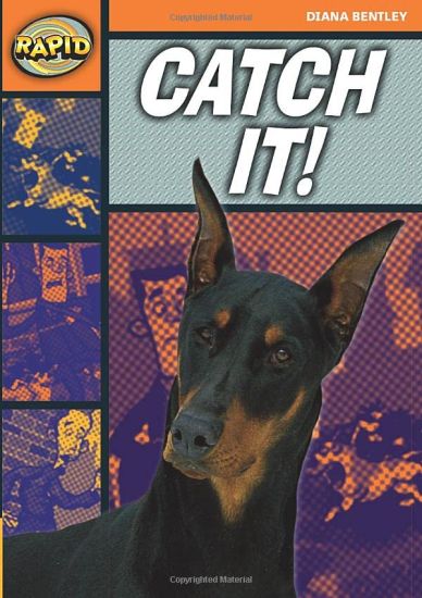 Rapid Reading: Catch It! (Starter Level 2A)