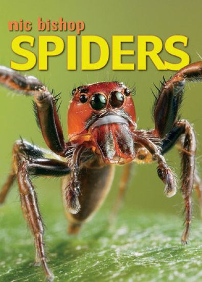 Nic Bishop: Spiders