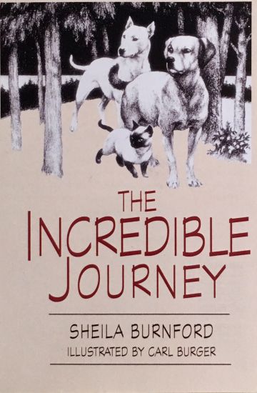 The Incredible Journey