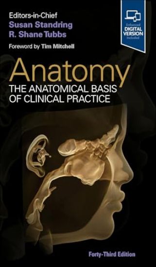 Gray's Anatomy