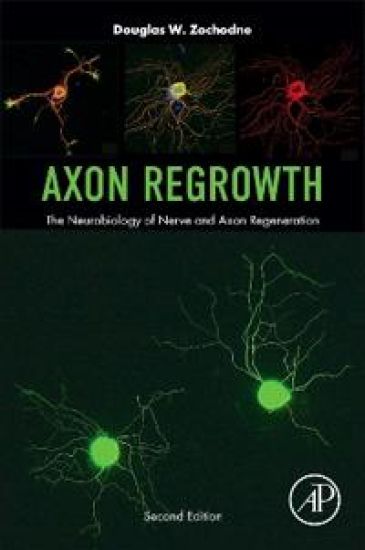 Axon Regrowth