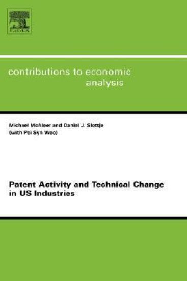 Patent Activity and Technical Change in US Industries