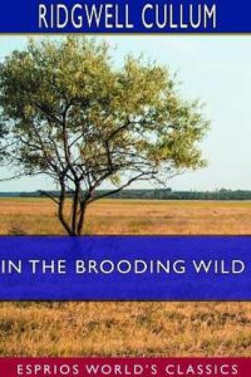 In the Brooding Wild (Esprios Classics)