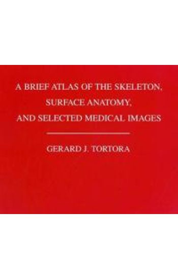 A Brief Atlas of the Human Skeleton, Surface Anatomy and Selected Medical Images