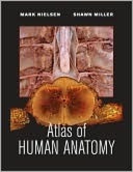 Atlas of Human Anatomy