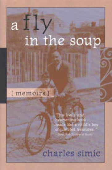 A Fly in the Soup