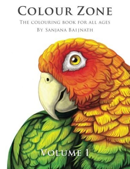 Colour Zone Volume 1: The colouring book for all ages