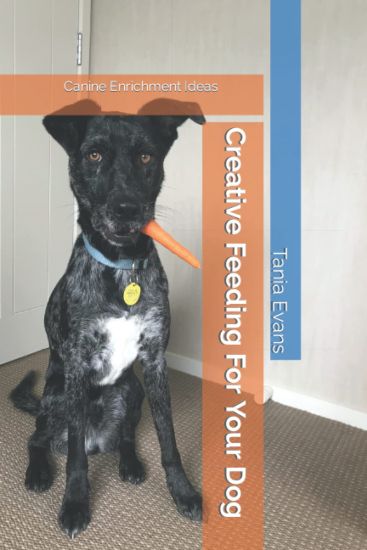 Creative Feeding For Your Dog