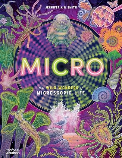 Micro