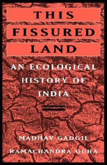 This Fissured Land