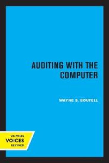 Auditing with the Computer