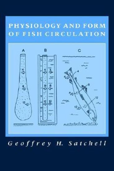 Physiology and Form of Fish Circulation