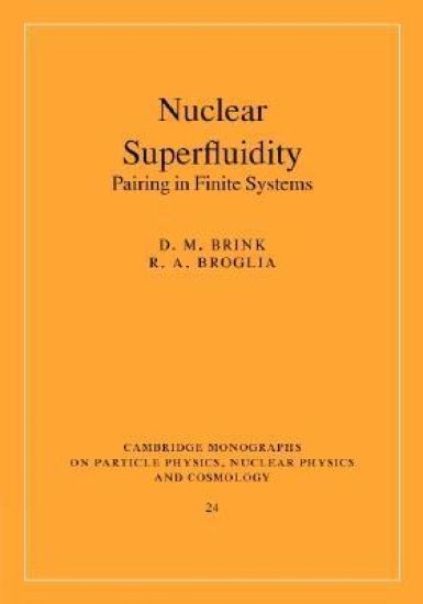 Nuclear Superfluidity