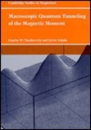 Macroscopic Quantum Tunneling of the Magnetic Moment