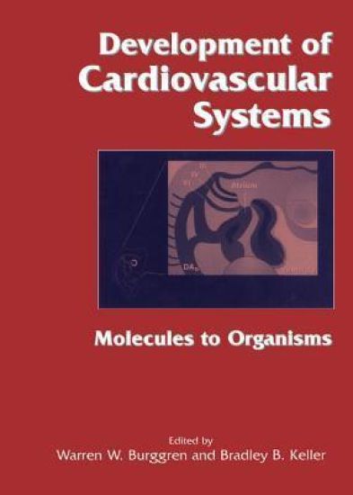 Development of Cardiovascular Systems