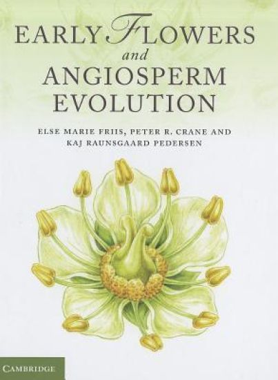 Early Flowers and Angiosperm Evolution