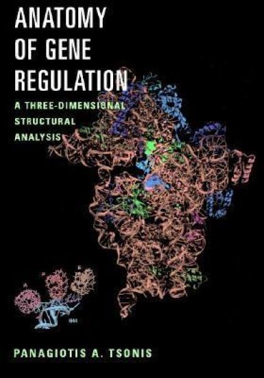 Anatomy of Gene Regulation