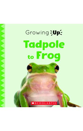 Tadpole to Frog (Growing Up)