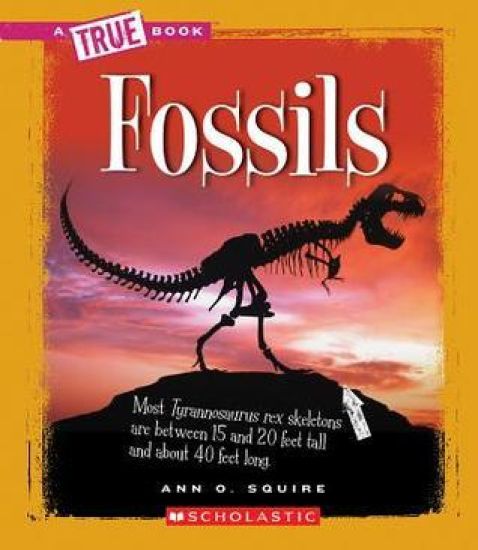 Fossils (a True Book: Earth Science)