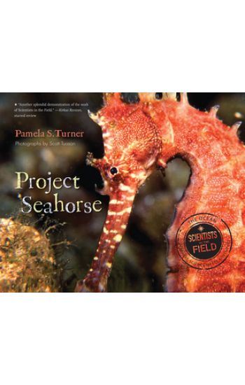 Project Seahorse