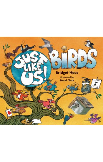 Just Like Us! Birds