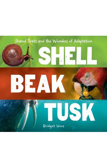 Shell, Beak, Tusk: Shared Traits and the Wonders of Adaptation