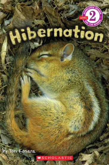 Hibernation