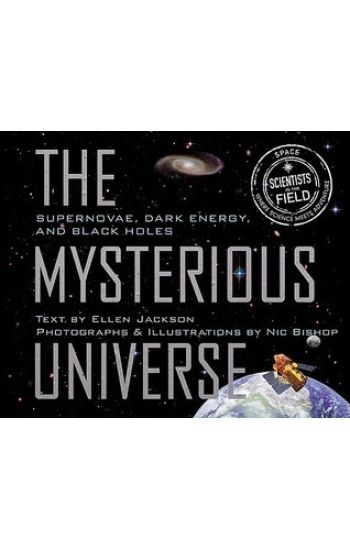 Mysterious Universe: Supernovae, Dark Energy, and Black Holes