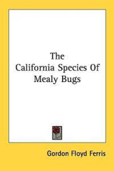 The California Species Of Mealy Bugs