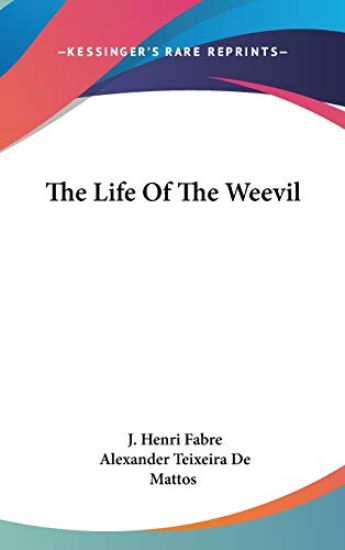 The Life of the Weevil