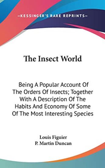 Insect World