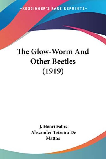 The Glow-Worm And Other Beetles