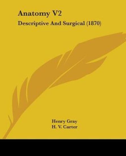 Anatomy V2: Descriptive And Surgical (1870)