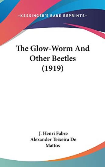 The Glow-worm and Other Beetles