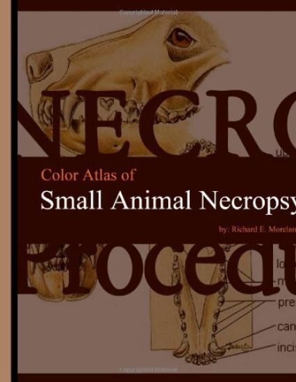 Color Atlas of Small Animal Necropsy