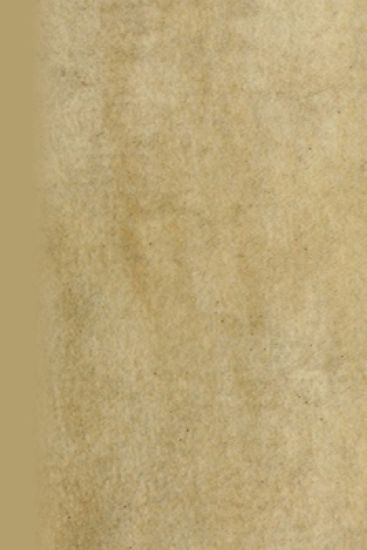 Contemplatio Totivs Vitae Et Passionis Domini Nostri Iesv Christi