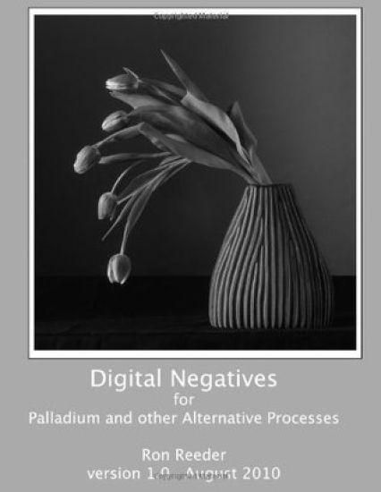 Digital Negatives for Palladium and Other Alternative Processes