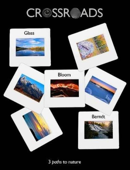 Crossroads - 3 Paths to Nature