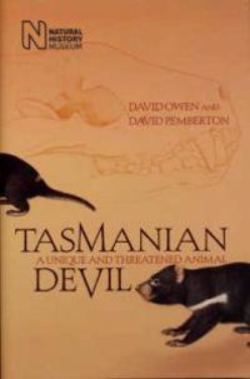 Tasmanian Devil